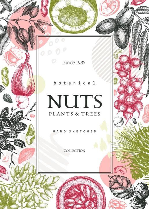 Vector card banner in college style. Vintage nuts sketched frame. Healthy food background with branches, plants, nutshells hand-drawings and abstract shapes. Creative botanical illustrations